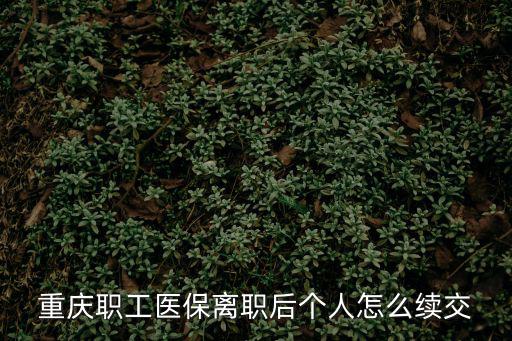 重慶職工醫(yī)保離職后個(gè)人怎么續(xù)交