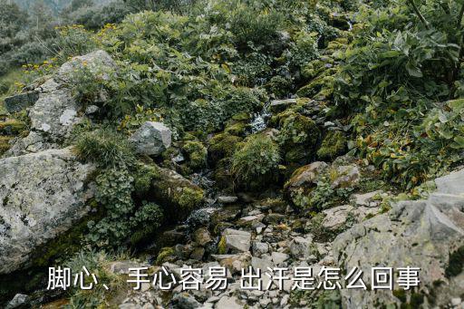  腳心、手心容易 出汗是怎么回事