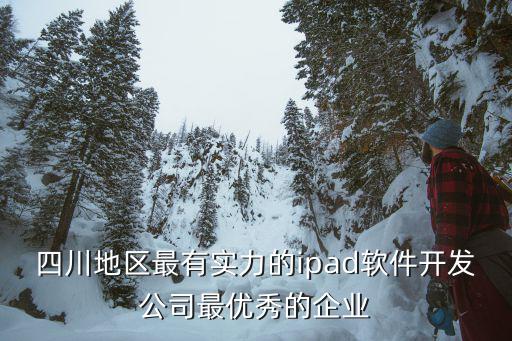 四川地區最有實力的ipad軟件開發公司最優秀的企業
