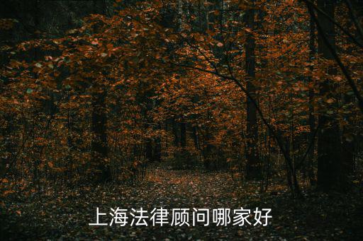 上海法律顧問哪家好