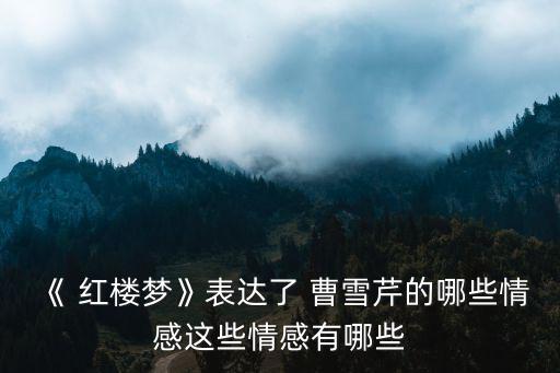 曹雪芹寫紅樓夢,學者:紅樓夢講述清朝故事無朝代可考