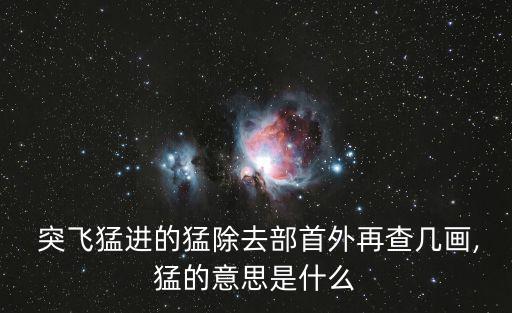  突飛猛進的猛除去部首外再查幾畫,猛的意思是什么