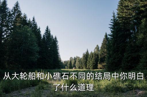 從大輪船和小礁石不同的結(jié)局中你明白了什么道理