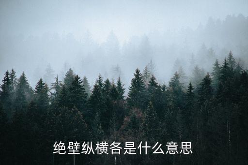 縱橫是什么意思，縱橫交叉縱橫的意思