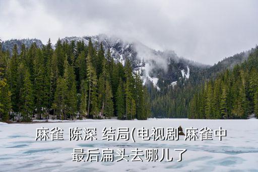  麻雀 陳深 結局(電視劇 麻雀中最后扁頭去哪兒了