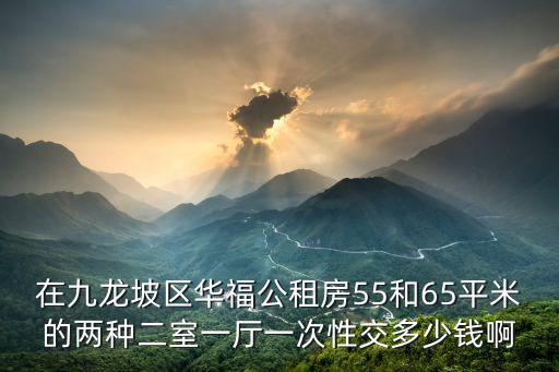 在九龍坡區(qū)華福公租房55和65平米的兩種二室一廳一次性交多少錢(qián)啊