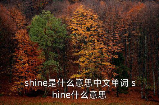 shine過去式