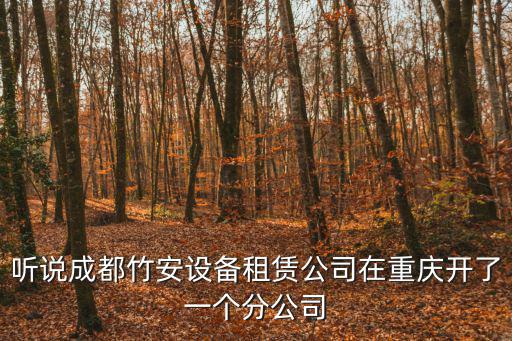 重慶市升降平臺有限公司，重慶立誠施工升降機是哪個廠家生產的