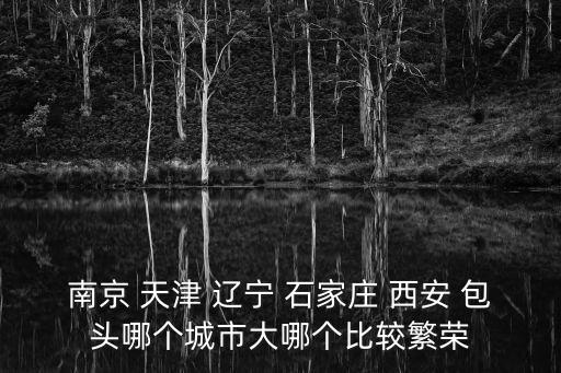 南京 天津 遼寧 石家莊 西安 包頭哪個城市大哪個比較繁榮