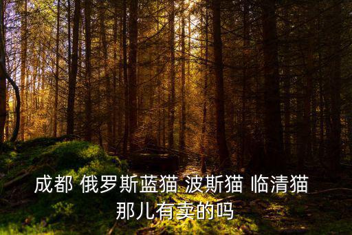 成都 俄羅斯藍(lán)貓 波斯貓 臨清貓 那兒有賣的嗎