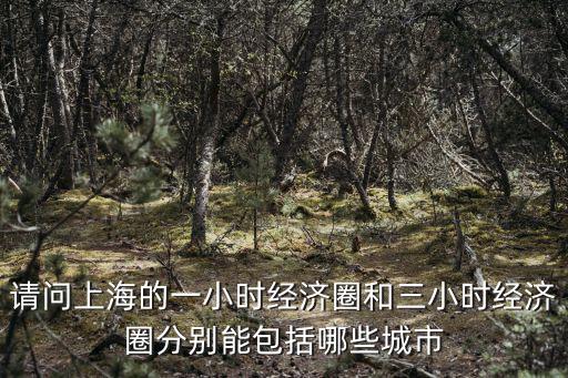請問上海的一小時經濟圈和三小時經濟圈分別能包括哪些城市