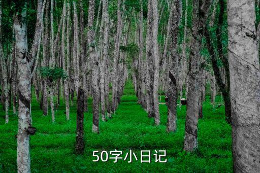 50字小日記