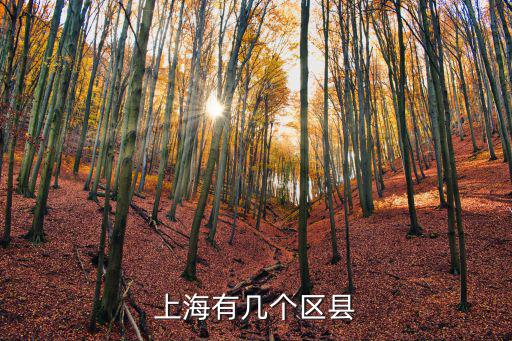 上海有幾個區(qū)縣