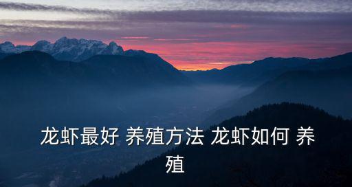  龍蝦最好 養(yǎng)殖方法 龍蝦如何 養(yǎng)殖