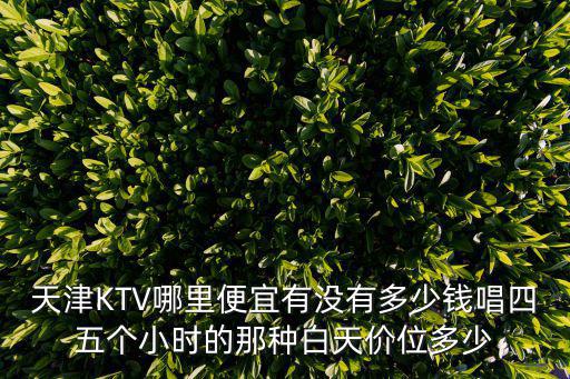 天津KTV哪里便宜有沒有多少錢唱四五個小時的那種白天價位多少