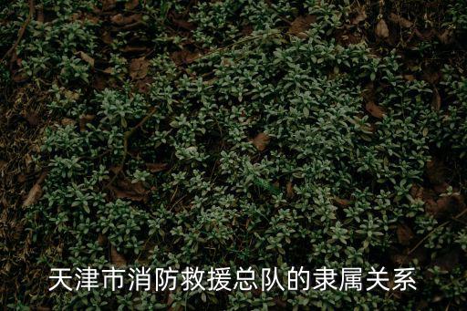 天津市消防救援總隊(duì)的隸屬關(guān)系