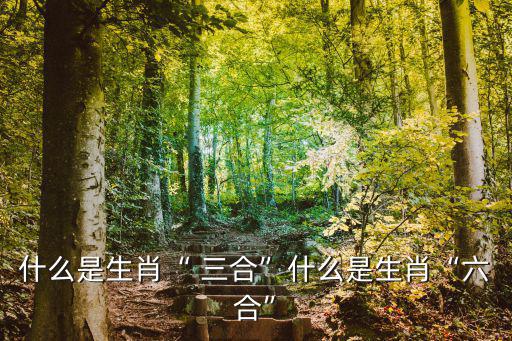 十二生肖三合,十二生肖與六合相互作用與效應(yīng)