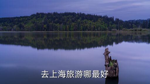 去上海旅游哪最好