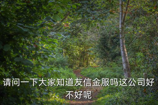 請問一下大家知道友信金服嗎這公司好不好呢