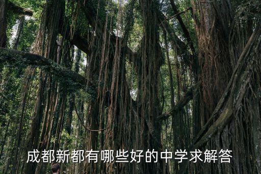 成都新都有哪些好的中學求解答