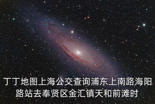 丁丁地圖上海公交查詢浦東上南路海陽路站去奉賢區金匯鎮天和前灘時