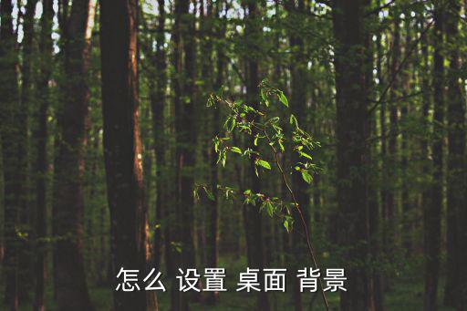 怎么 設(shè)置 桌面 背景