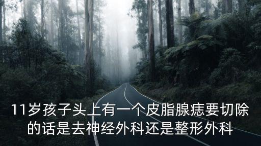 11歲孩子頭上有一個皮脂腺痣要切除的話是去神經外科還是整形外科