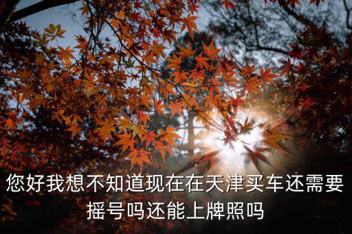 您好我想不知道現(xiàn)在在天津買(mǎi)車(chē)還需要搖號(hào)嗎還能上牌照嗎