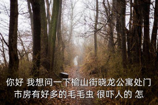 天津市的毛毛蟲太多了，家里突然出現很多很小的毛毛蟲只在一間屋有這會是怎么回事