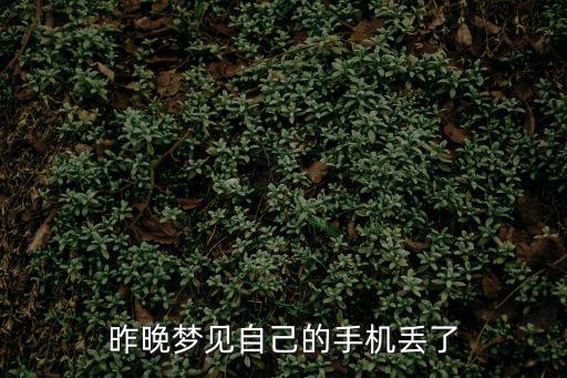 夢(mèng)見手機(jī)丟了，昨晚夢(mèng)見自己的手機(jī)丟了