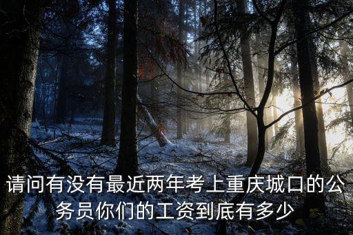 請(qǐng)問有沒有最近兩年考上重慶城口的公務(wù)員你們的工資到底有多少