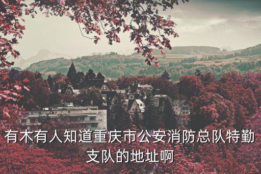 有木有人知道重慶市公安消防總隊特勤支隊的地址啊