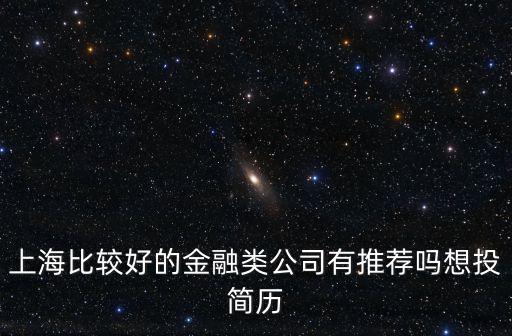 上海比較好的金融類公司有推薦嗎想投簡歷