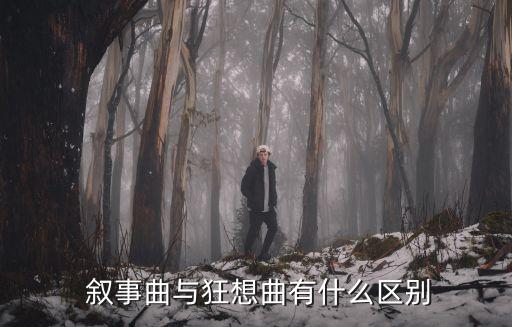  敘事曲與狂想曲有什么區(qū)別