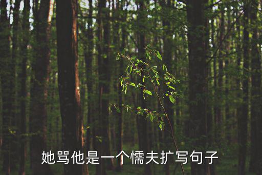 她罵他是一個懦夫擴寫句子