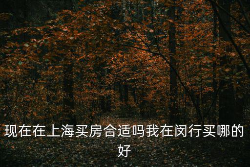 上海現在適合買房嗎，我在上海好多年了就是沒有加金想在上海買房可以嗎