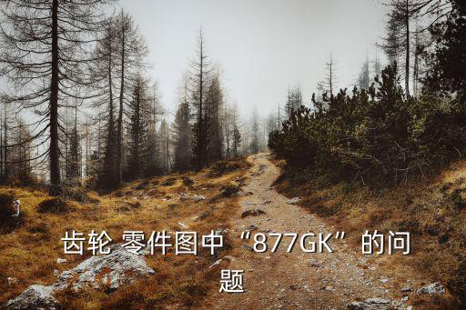  齒輪 零件圖中“877GK”的問題