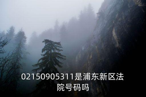 02150905311是浦東新區法院號碼嗎