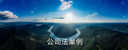 公司法修正案,本案中其他股東強(qiáng)行轉(zhuǎn)讓王先生股權(quán)屬違法行為