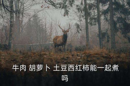  牛肉 胡蘿卜 土豆西紅柿能一起煮嗎