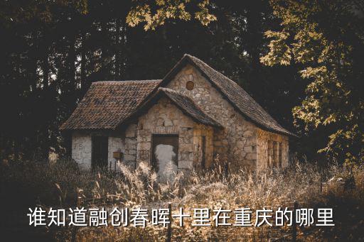 重慶市大渡口區(qū)春暉派出所在哪里，春暉家園歸哪個(gè)派出所管轄啊