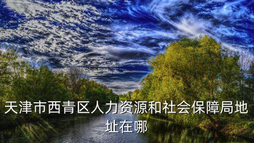 天津市西青區(qū)人力資源和社會保障局地址在哪