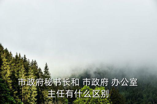  市政府秘書長和 市政府 辦公室 主任有什么區(qū)別
