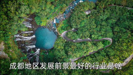 成都地區發展前景最好的行業是啥