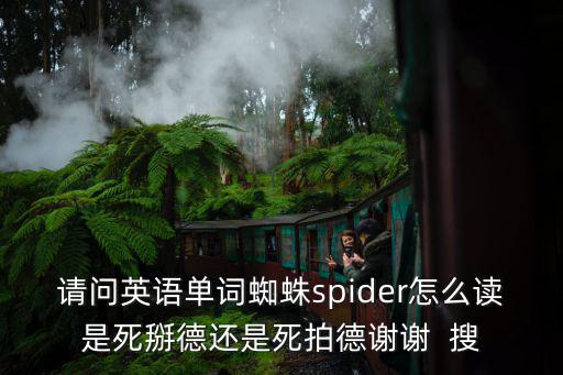 請問英語單詞蜘蛛spider怎么讀是死掰德還是死拍德謝謝  搜