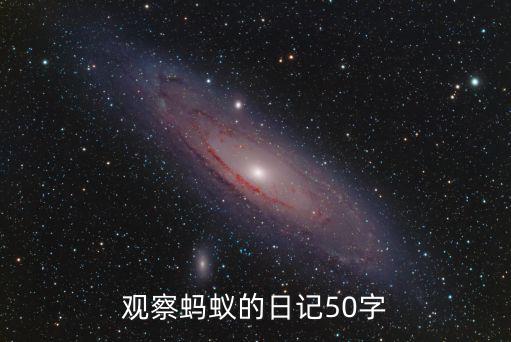 觀察螞蟻的日記50字