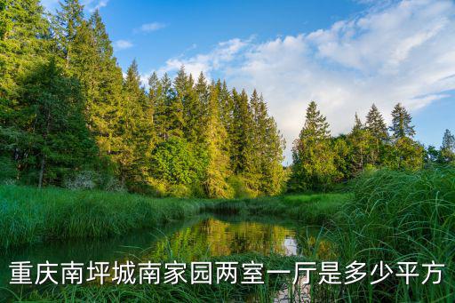 重慶南坪城南家園兩室一廳是多少平方