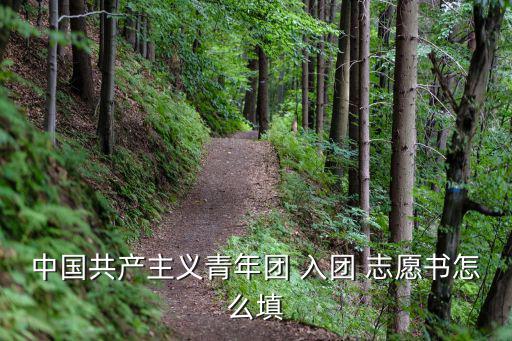 共青團入團志愿,我要申請加入中國共產主義青年團