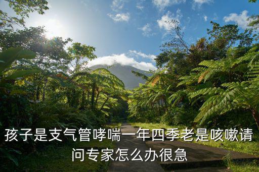 孩子是支氣管哮喘一年四季老是咳嗽請問專家怎么辦很急