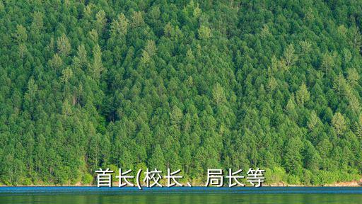 層級制,選舉制和委員會制的區別